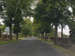Budowa ścieżki rowerowej Opole-Turawa pochłonie miliony złotych i setki drzew