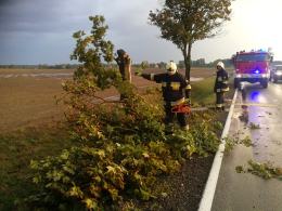 Blisko 90 interwencji straży po wczorajszych nawałnicach