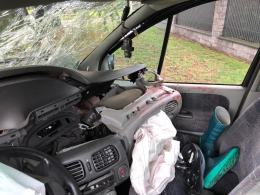Renault Scenic wjechał w drzewo na ulicy Wilsona. Kierujący nietrzeźwy