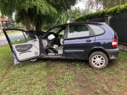 Renault Scenic wjechał w drzewo na ulicy Wilsona. Kierujący nietrzeźwy