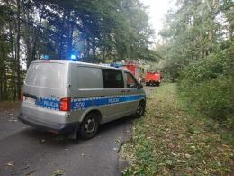 Już ponad 170 interwencji straży związanych z silnym wiatrem. Jeszcze powieje!