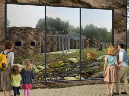 Rozpoczęła się budowa wybiegu dla lwów i tygrysów w opolskim zoo