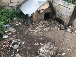 Człowiek zgotował mu niewyobrażalny ból i cierpienie. Wolontariusze TOZ interweniują