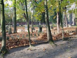 Opolanie tradycyjnie sprzątali cmentarz przy ulicy Wrocławskiej 