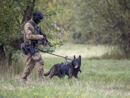 Rico - najdzielniejszy "Policjant" w Polsce