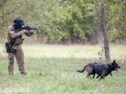 Rico - najdzielniejszy "Policjant" w Polsce