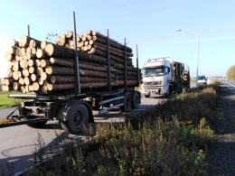 12 skontrolowanych pojazdów i 13 postępowań administracyjnych to wynik kontroli WITD w Opolu