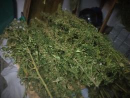 Blisko 8 kilogramów narkotyków trzymał w mieszkaniu, działce, garażu