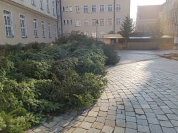 Jarmark Bożonarodzeniowy w Opolu. Jakie czekają nas atrakcje?