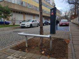 Metalowe barierki przy drzewach na Pasiece. Zdania mieszkańców są podzielone