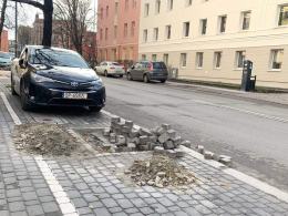 Miejski Zarząd Dróg sadzi na potęgę. W całym mieście zostanie posadzonych 3700 drzew