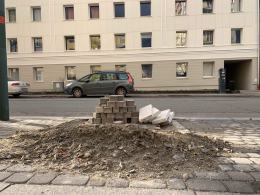 Miejski Zarząd Dróg sadzi na potęgę. W całym mieście zostanie posadzonych 3700 drzew