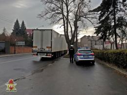 Kierowca twierdzi, że drzewo spadło samo. Policjanci nie wiedza jak zakwalifikować zdarzenie