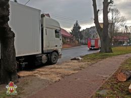Kierowca twierdzi, że drzewo spadło samo. Policjanci nie wiedza jak zakwalifikować zdarzenie
