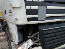 Kierowca twierdzi, że drzewo spadło samo. Policjanci nie wiedza jak zakwalifikować zdarzenie