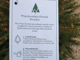 Na Opolszczyźnie można wypożyczyć choinkę. Idea ma cel proekologiczny