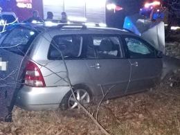 Wjechał w drzewo - miał blisko 3 promile
