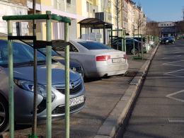 Nowe drzewa uniemożliwiają parkowanie. Problem w pobliżu przychodni na ul. Armii Krajowej