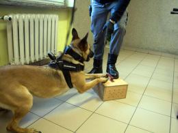 Narkotyki miały być dostarczone więźniom w bateriach