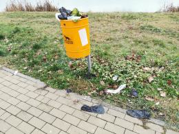 Psie odchody wysypują się z pojemników. Odór powoduje niesmak u spacerowiczów