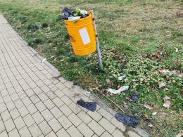Psie odchody wysypują się z pojemników. Odór powoduje niesmak u spacerowiczów