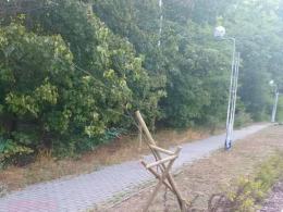 Złapano chuliganów, którzy zniszczyli drzewa i znaki w Zdzieszowicach