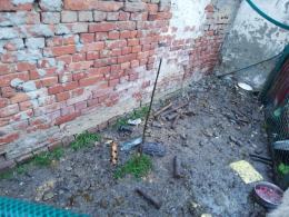Dwa bulteriery żywiły się suchym chlebem i padliną. Interwencja pod Prudnikiem