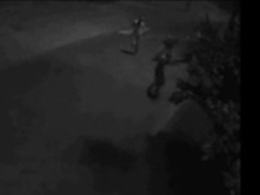 Policjanci z Brzegu poszukują świadków śmiertelnego pobicia