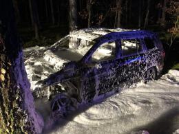 Auto uderzyło w drzewo i stanęło w płomieniach 