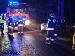 Kierowca wjechał w drzewo. Został przewieziony do szpitala