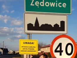 Ptasia Grypa w powiecie gliwickim. Strażacy umieścili ostrzeżenia w gminie Zawadzkie
