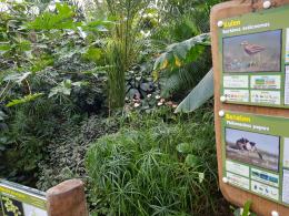 W opolskim zoo cały czas można spotkać lato