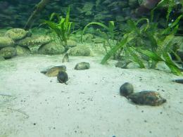 W opolskim zoo cały czas można spotkać lato