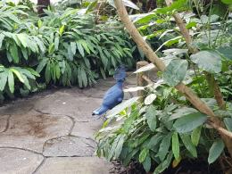 W opolskim zoo cały czas można spotkać lato