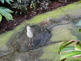 W opolskim zoo cały czas można spotkać lato