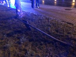 Wypadek w Zawadzkiem. Auto potrąciło mężczyznę i psa na pasach
