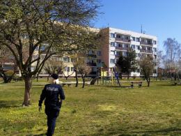 Policjanci egzekwują przepisy związane z epidemią