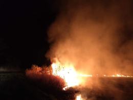 Strażacy gasili nocą pożar nieużytków. Służby apelują o rozwagę