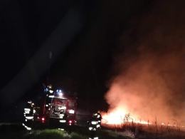 Strażacy gasili nocą pożar nieużytków. Służby apelują o rozwagę