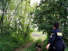 Po 7 latach służby, Hordo odszedł na zasłużoną emeryturę