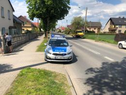 Nietypowa kolizja samochodu osobowego z koniem w Opolu