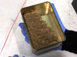 Policja zlikwidowała plantacje marihuany w domu 50-latka