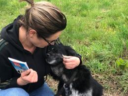 Suczka z młodymi przywiązana do budy na środku pola. Interwencja TOZ