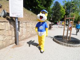 Dziś swoje święto obchodzą wszystkie dzieci