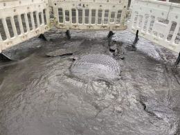 Ulewne deszcze i burze nad Opolszczyzną. Niebezpiecznie na drogach