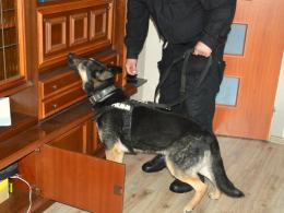 Pięciu mężczyzn zatrzymanych do spraw narkotykowych