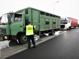 Reńska Wieś: Przewoźnik wiózł za dużo zwierząt