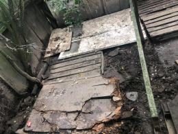 Wolontariusze opolskiego TOZ-u zabrali interwencyjnie 3 psy i kota