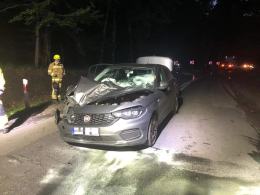Drzewo spadło na podróżujące samochodem dwie osoby