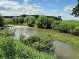 Wypadek na spływie kajakowym w Komornikach. Uczestnicy wpadli do wody